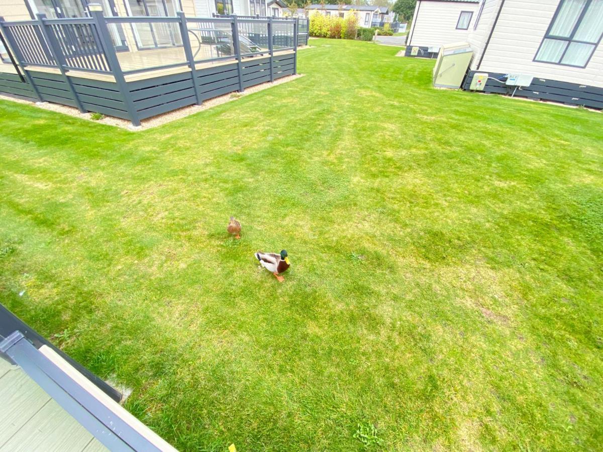 Wildflower, Premium Plus Hot Tub Lodge South Cerney Eksteriør billede
